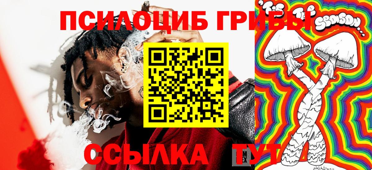 Пермь  Псилоцибиновые грибы Cubensis  Вход с VPN 
